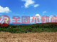 合界縣道海景美地