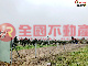 A32觀音育仁農牧用地+農舍