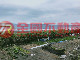 頭城大坪數華廈