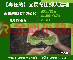 【專任約】宜蘭冬山鄉大建地