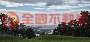 樹梅坑農地(整筆+持分)