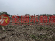 鹽埔新莊農地(九536)