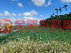 鹿草下潭大路邊農地