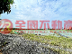 太保雙臨路美農地