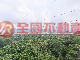 瑞菖清景景觀電梯別墅