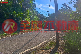 三峽紫微天后宮旁●臨路農地