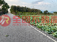 后里新店農地