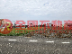 土庫大同路農地