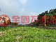 涼山大馬路邊方正農地-內435