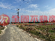 白河竹門優質農地(一)