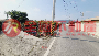 燕巢雙面臨路農地