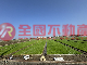 民雄菁埔農地