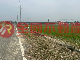 白河竹門農優質農地(三)