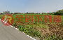 楊梅楊富特農