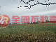 金湖鎮大馬路第一排美農地