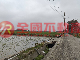 雲林台糖四湖農場旁農田