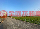 柳營近市區3.5分優質農地