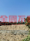 番路鄉優質農地