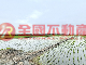 莿桐番子段15米路漂亮農地