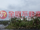 頭城下埔漁塭地