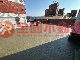 大溪紅樓全新整理美三房車