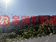 頭城福德4990農地