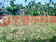 內埔漂亮都農-內457