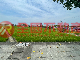 世賢都計三面路農地