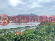 專約~河畔書院景觀戶