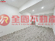 (C)台北小巨蛋◆雙敦學區◆全新電梯二房