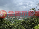 梅花湖景觀美農地