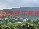 梅花湖景觀美農地