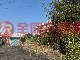 頭城近交流道建地