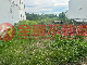 東山區近青山國小方正乙建