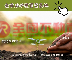 【專任約】金寧后沙投資型農地