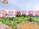 龍潭泥橋段*農地+交通用地