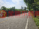 金城珠水路第一排大面積建地