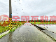 鹿草雙面路農地(3)