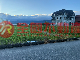 壯圍美城農地