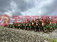 新園興安路旁農地-萬545