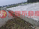 礁溪近國五足坪農地