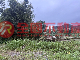 頭城北關702農地