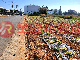 嘉義市-林森東路麗園旁都市農地-獨賣