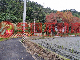 冬山梅花湖面湖農地