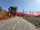 【專任約】金沙高陽路旁大面積農地