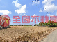 新豐持分甲建