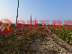 玉山路小菜園