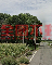 土庫秀潭造林農地